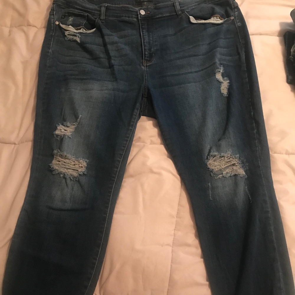 Judy Blue plus size